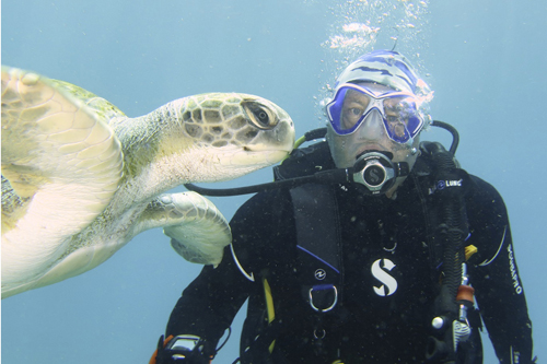 Read more about the article Divemaster Intern – David