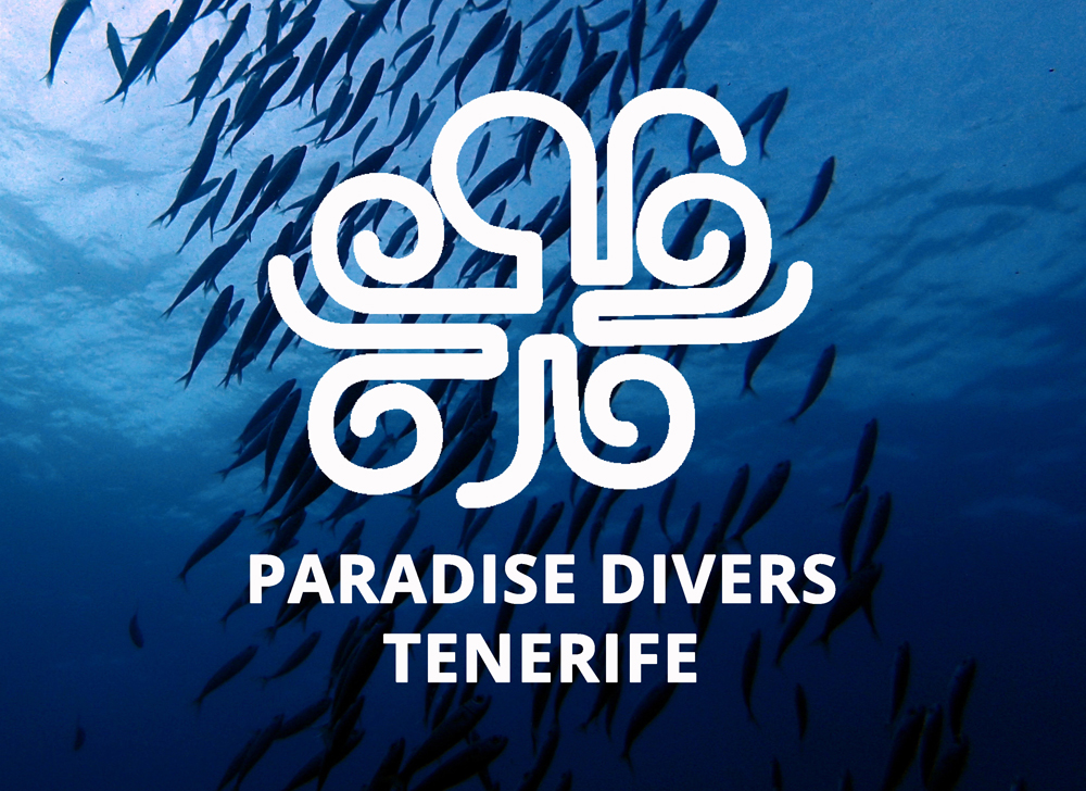 Scuba Diving Tenerife - Paradise Divers - PADI 5 Star Dive Centre Tenerife