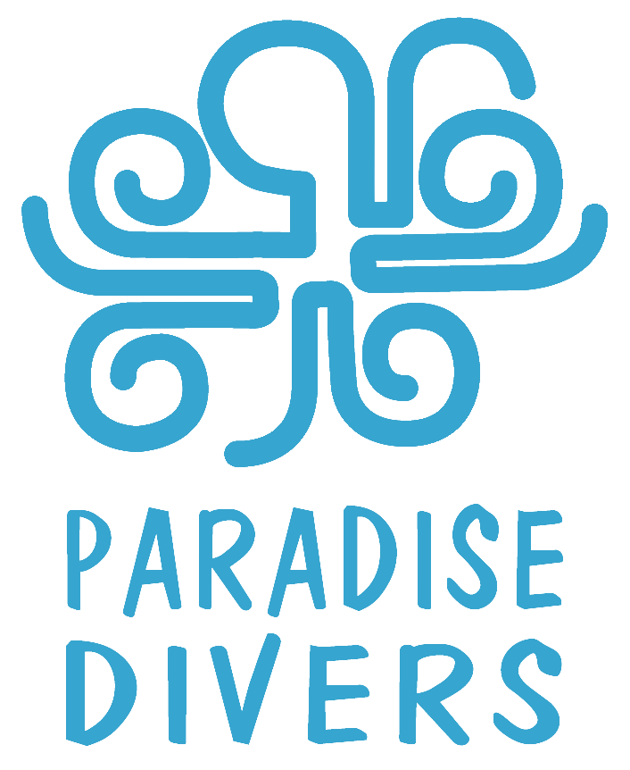 paradise divers tenerife canarias