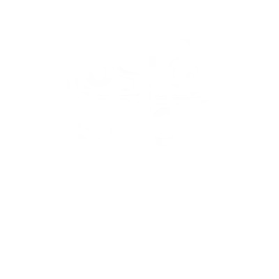 Paradise Divers in Tenerife Canary Islands