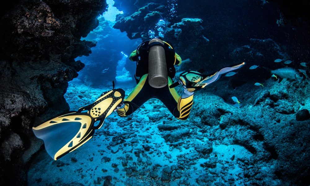 Guided dives small tile guided dives canarias