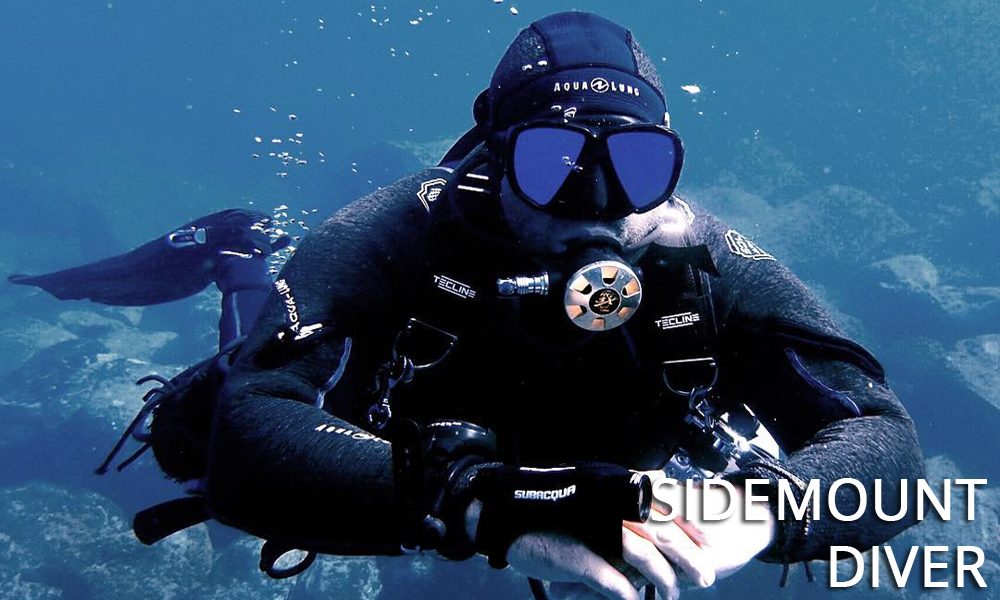 Discounted guided dives